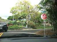 waluaroad.jpg