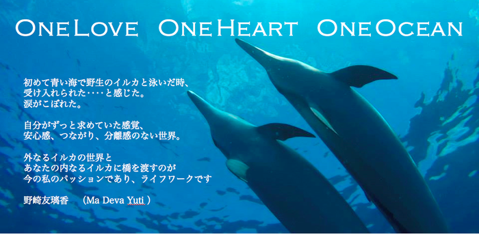 OneLove OneHeart OneOcean_初めて青い海で野生のイルカと泳いだ時、受け入れられた...と感じた。涙がこぼれた。自分がずっと求めていた感覚、安心感、つながり、分離感のない世界。