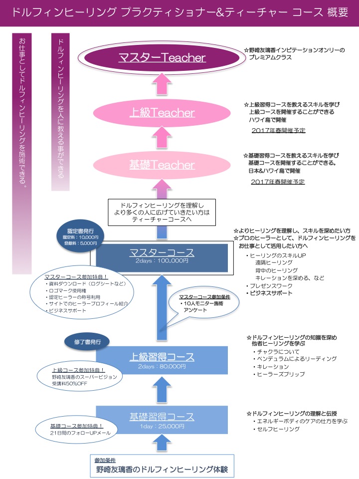 概要図.jpg