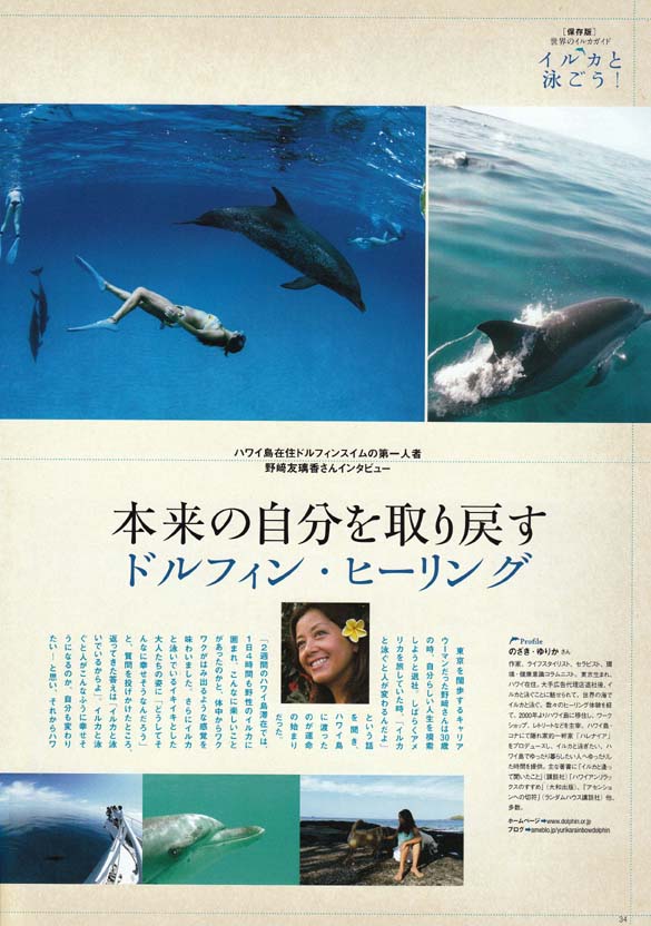 http://www.dolphin.or.jp/works/images/Diver1.jpg